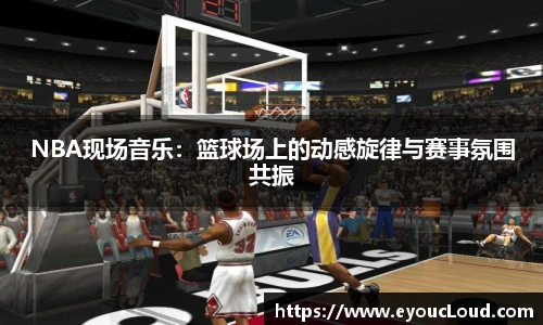 bsports登录入口