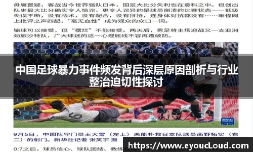 bsports登录入口