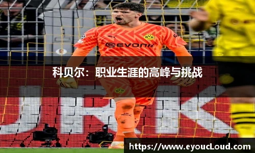 B体育bsports