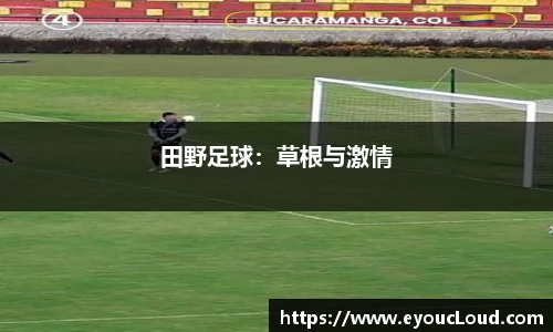 bsports官网