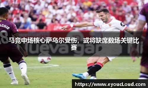 bsports登录入口