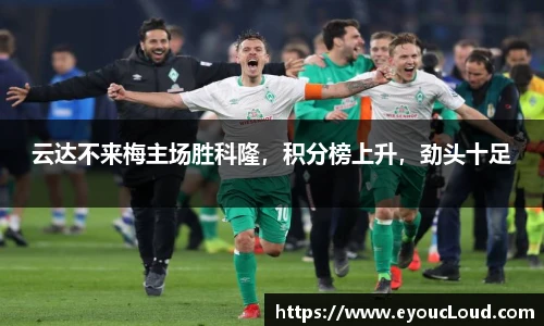 bsports登录入口