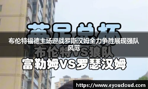 bsports登录入口