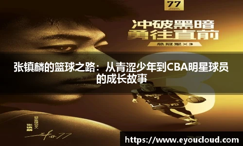 bsports登录入口