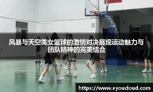 B体育bsports